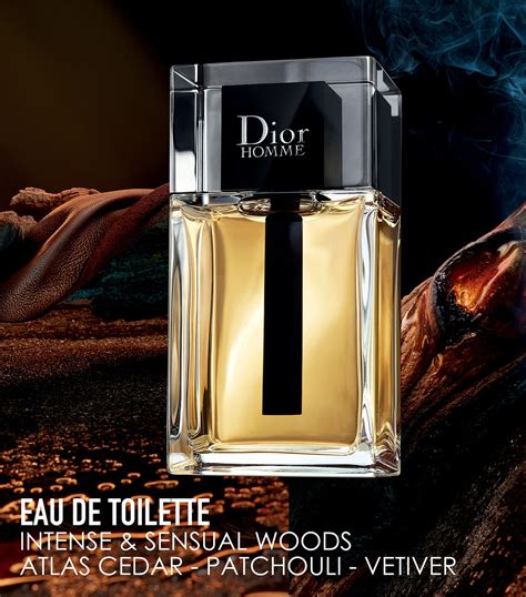 dior homme edy